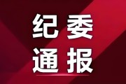 乐鱼体育官方网站-他接受纪律审查和监察调查